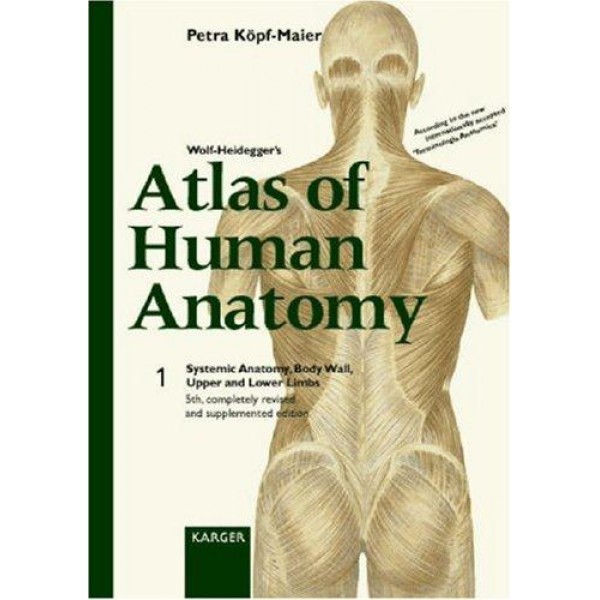 online atlas of anatomy